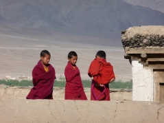 Ladakh 2009, 1 135