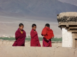 Ladakh 2009, 1 135