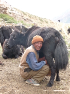 Ladakh 2009, 3 364